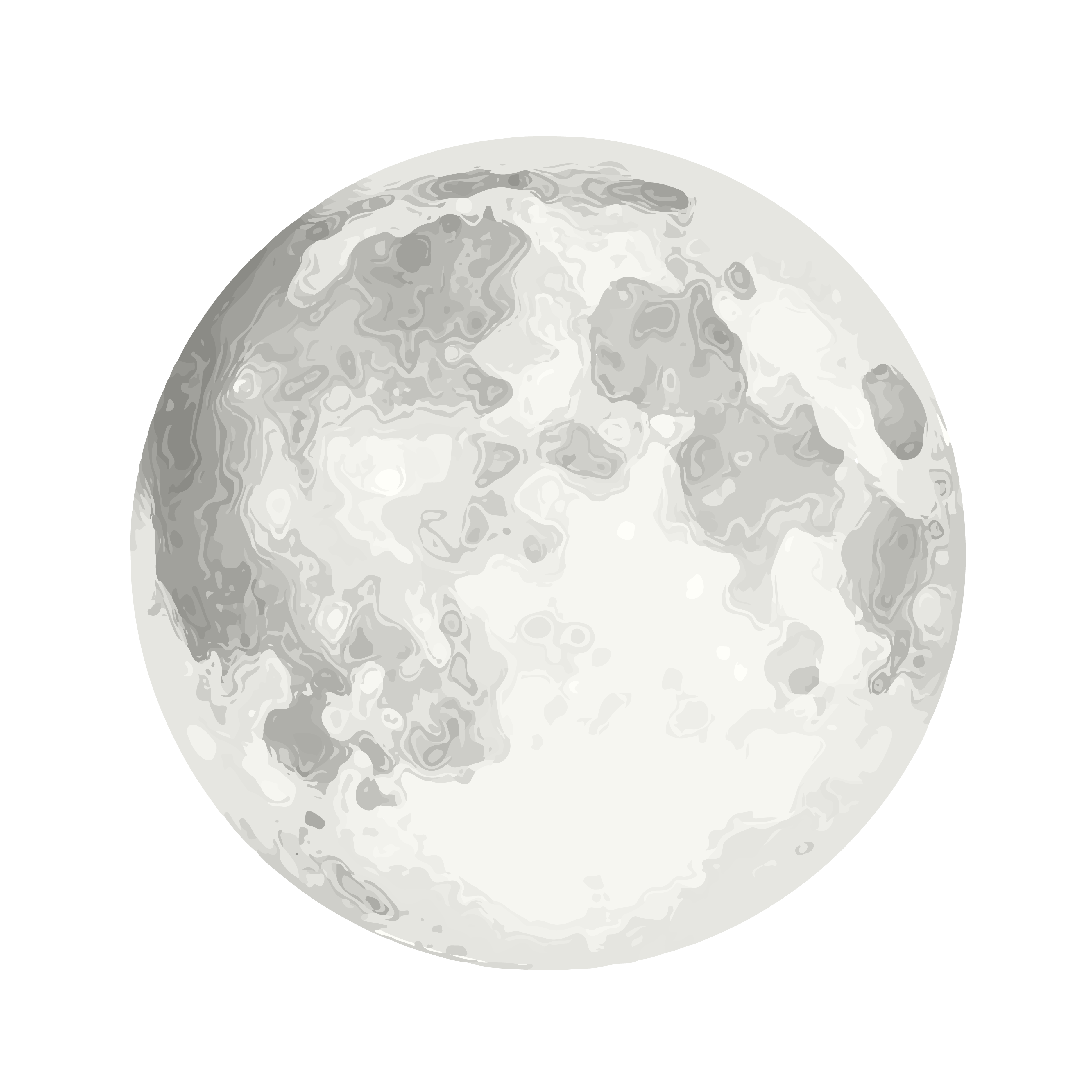 Discover the Project